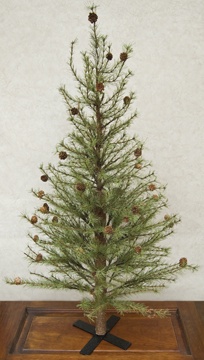 Cypress Pine Tree, 4 Ft