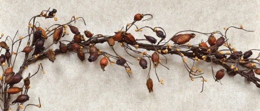 Dried Rose Hip Garland - 4 Ft