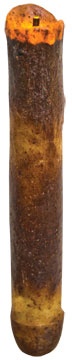 6" Burnt Ivory Drip Timer Taper - LED Candle
