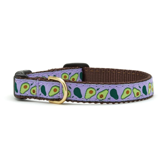 Avocado Small Breed Dog Collar - Up Country