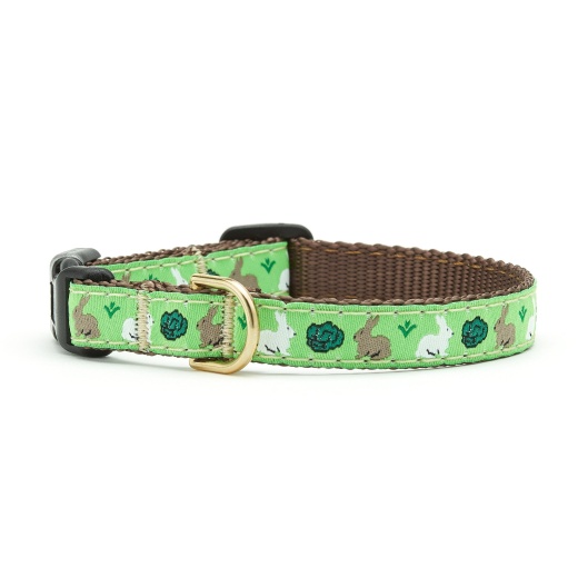 Garden Rabbit Small Breed Dog Collar - Up Country