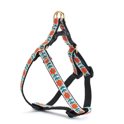 Orange You Pretty Small Breed Dog Harness by Up Country