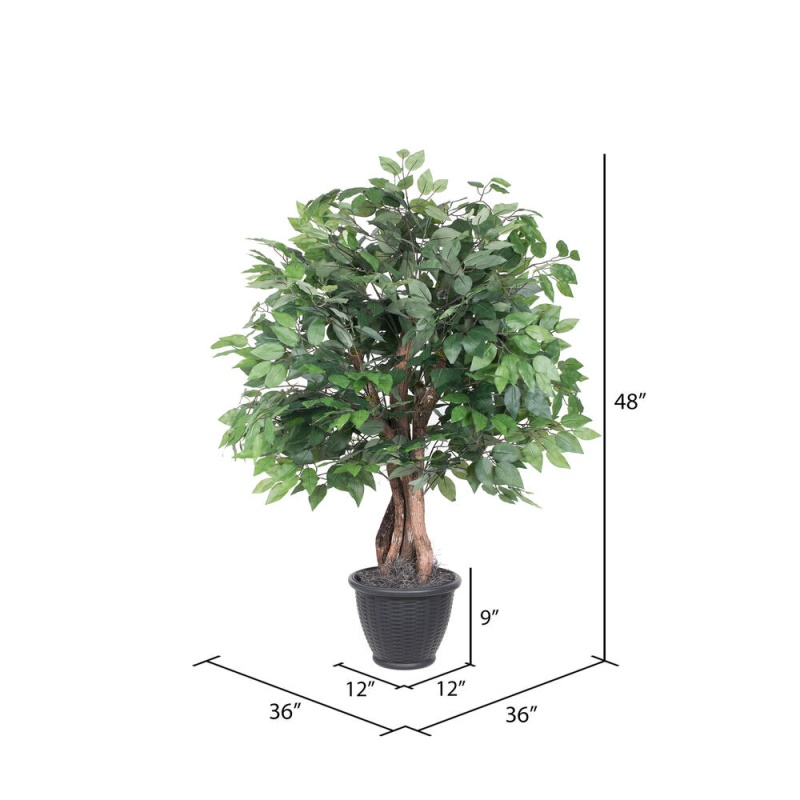 4' Ficus Extra Full In Gray Plastic Pot