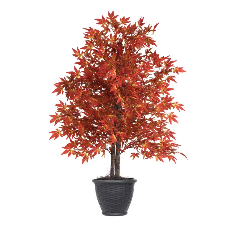 4' Orange Maple Bush In Basketw\Gray Pot