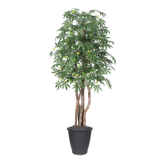 6' Japanese Maple Executive Round Gray Artificial Tree
