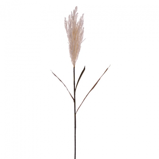 51" Cream Reed Spray 2/Bundle