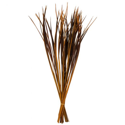 28 Aspen Gold Splinter Grass -11 Oz