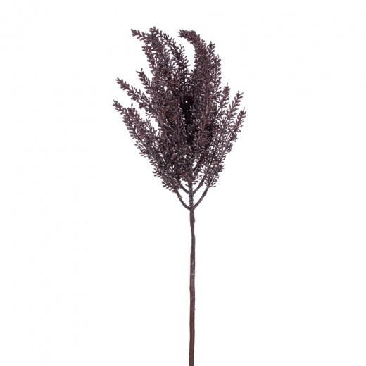 35" Brown Grass Stem 2/Bag