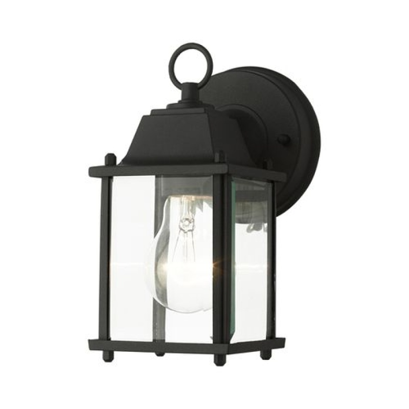 Hamilton 1-Light Outdoor Wall Lantern