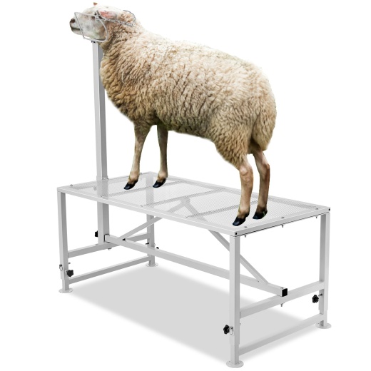 Vevor Goat & Sheep Stand - 51x23 Inch Livestock Milking & Shearing Stand