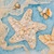 12" Wood Starfish Cutout, 12" X 11.5" X 1/4"