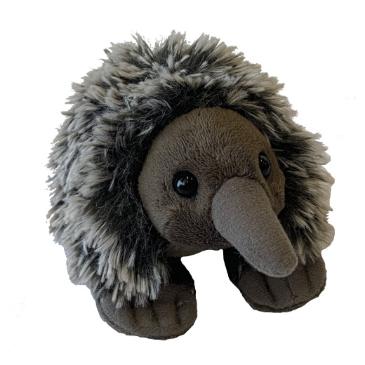 Pocketkins Eco Echidna Stuffed Animal - 5"