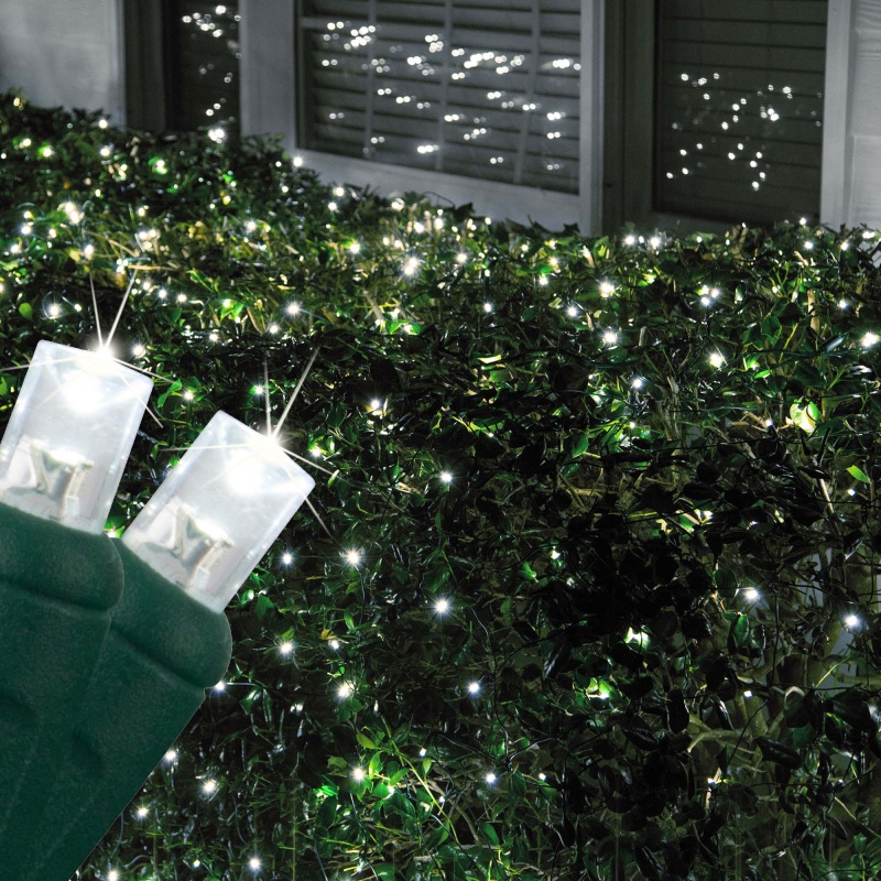 Cool White Twinkle 5Mm Led Christmas Net Lights On Green Wire