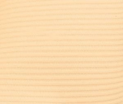 Crosstex Wtxbg Professional Regular 3 Ply Towel