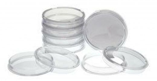 Simport D210-18A Petri Dish