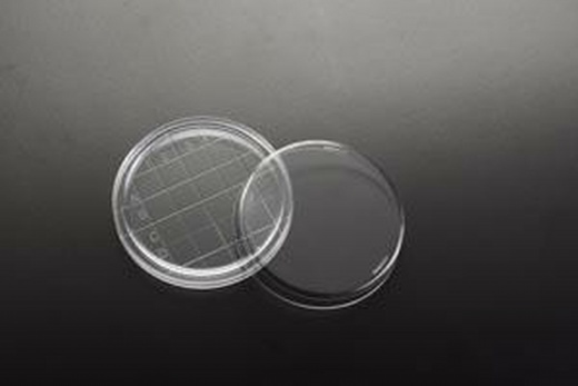 Simport D210-17 Petri Dish
