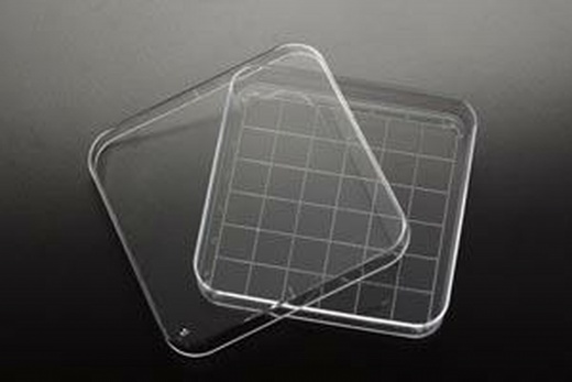 Simport D210-16 Petri Dish