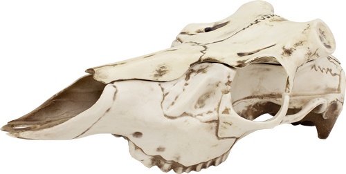 Mountain Mike's Natural Causes Skull Master Medium