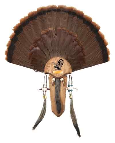 Hs Strut Mounting Kit Turkey Tail & Three Beard