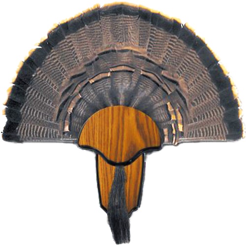 Hs Strut Mounting Kit Turkey Tail & Beard
