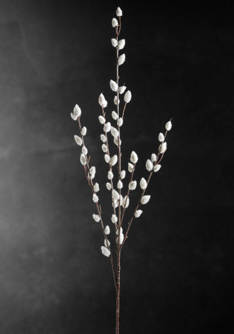 Artificial Pussy Willow Branch 31In (Set Of 12 Branches)